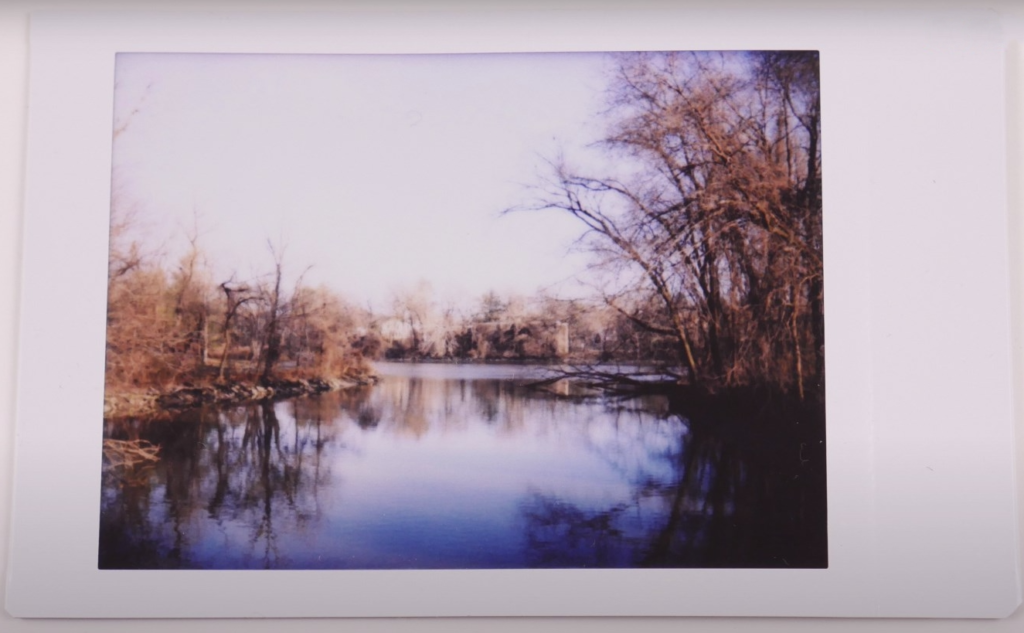 a picture of a lake with trees around it